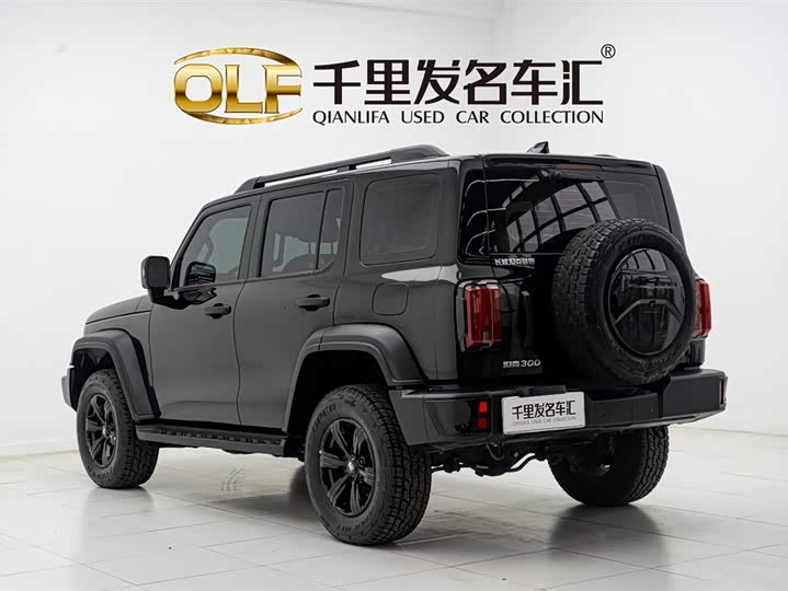 Фото 4 - Tank 300