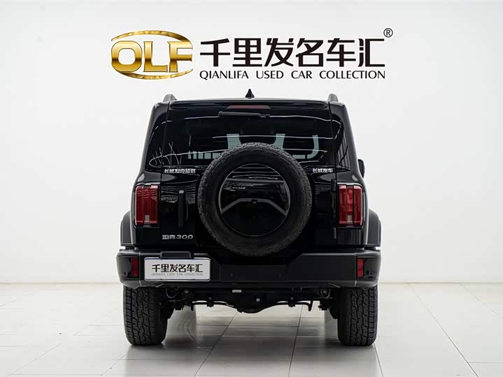 Фото 5 - Tank 300