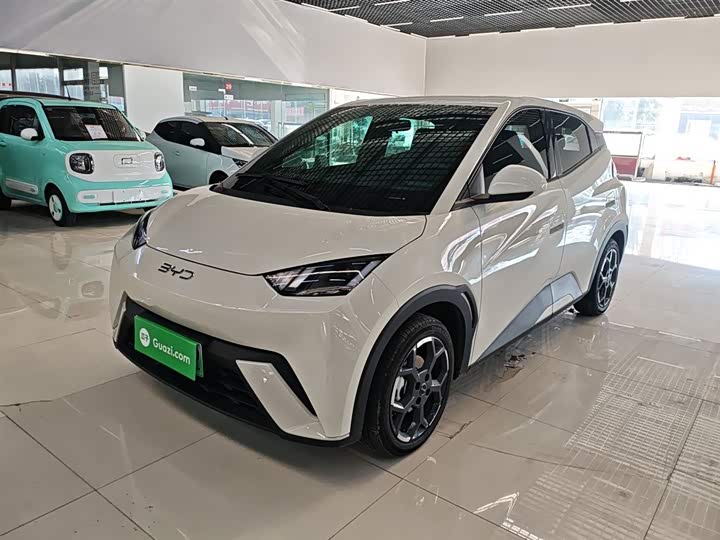 Фото 2 - BYD Seagull