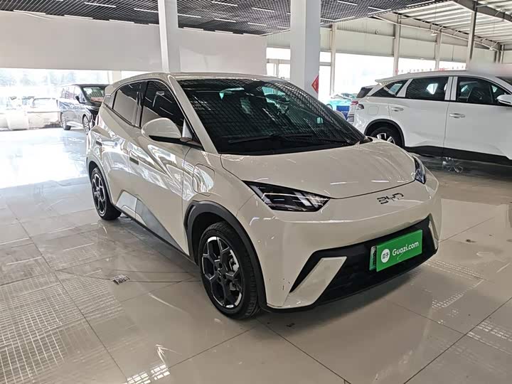 Фото 4 - BYD Seagull