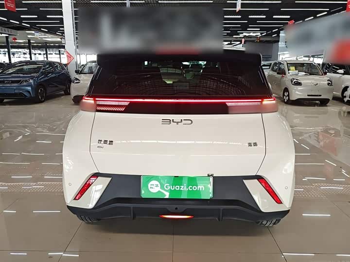 Фото 6 - BYD Seagull