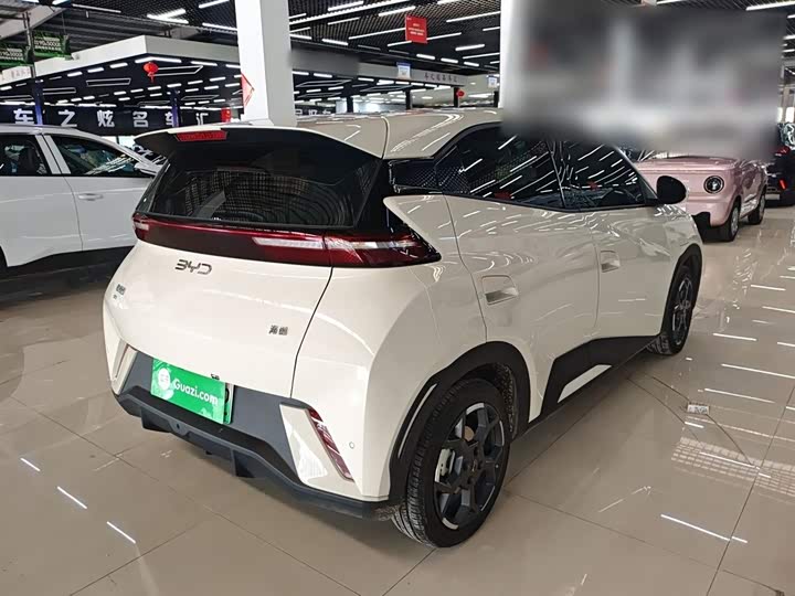 Фото 7 - BYD Seagull