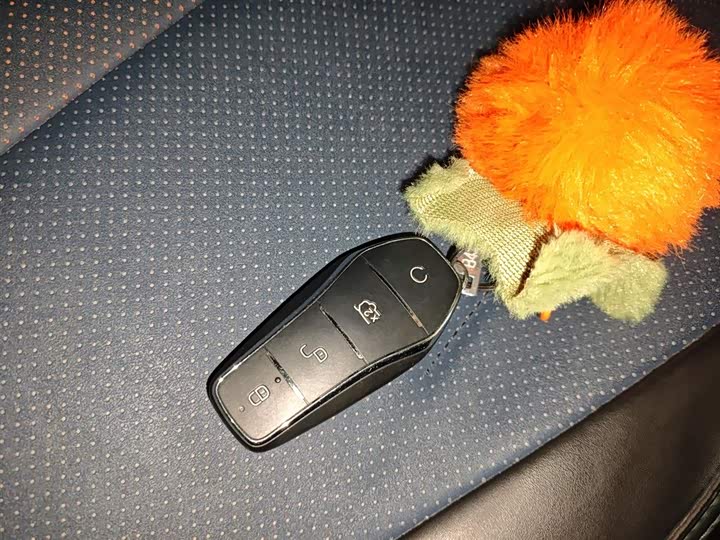 Фото 9 - BYD Seagull