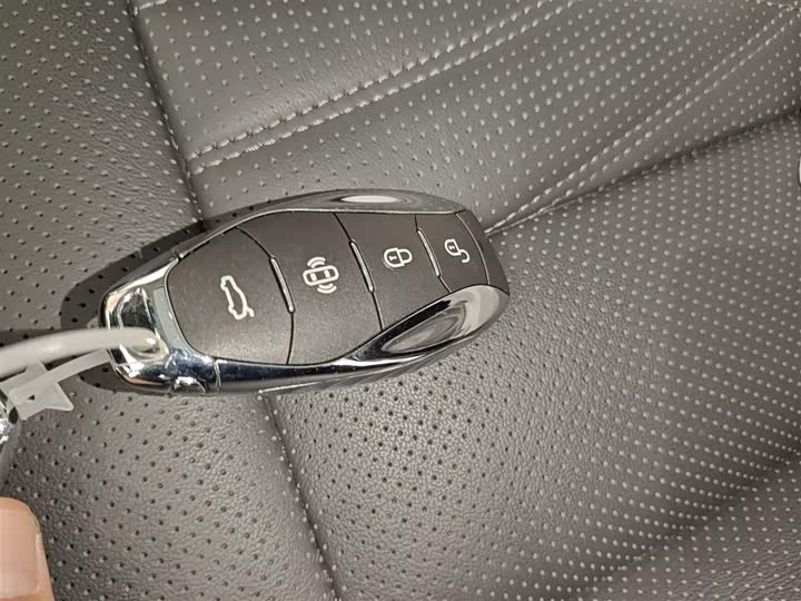 Фото 9 - Hongqi HS7 Hybrid