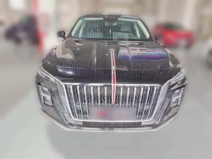 Фото 5 - Hongqi H5