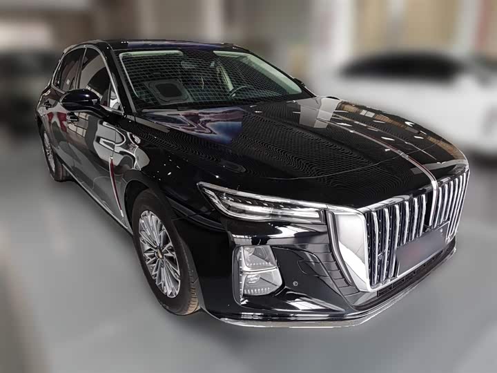 Фото 7 - Hongqi H5