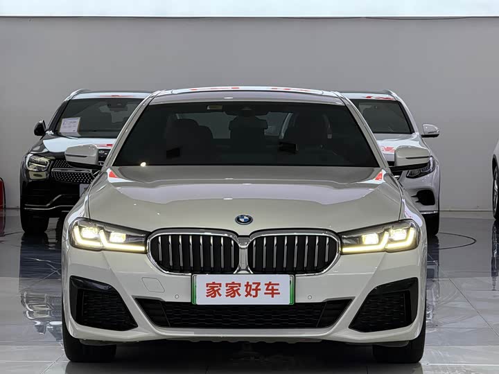Фото 2 - BMW 5 Series Hybrid