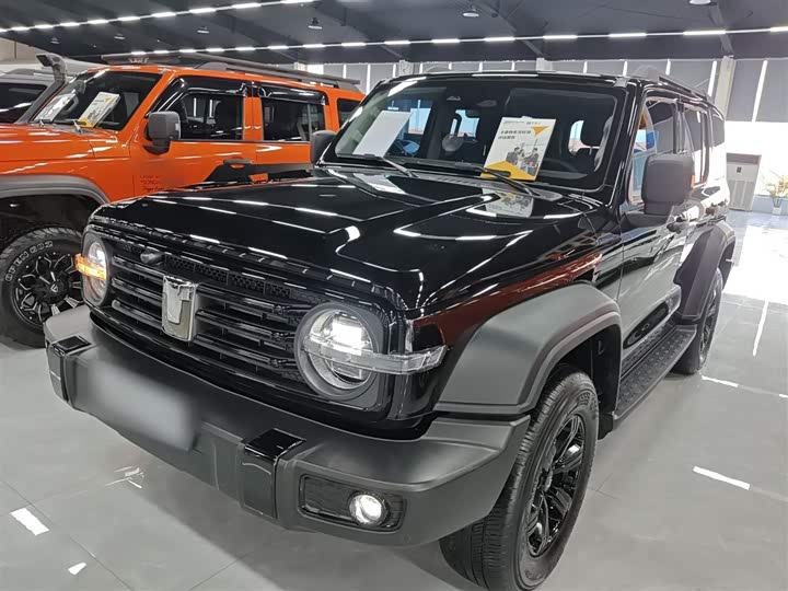 Фото 1 - Tank 300