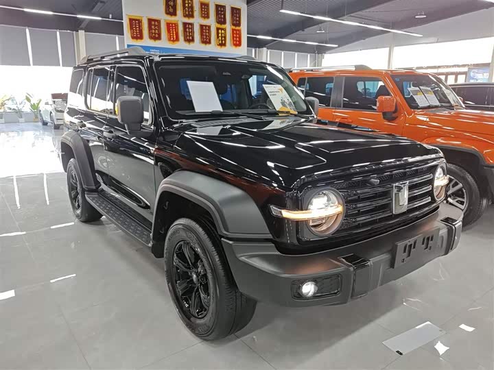 Фото 4 - Tank 300