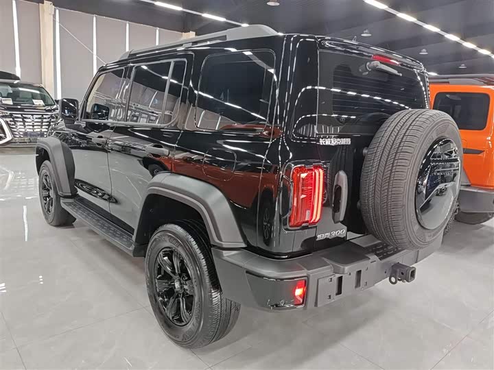 Фото 5 - Tank 300