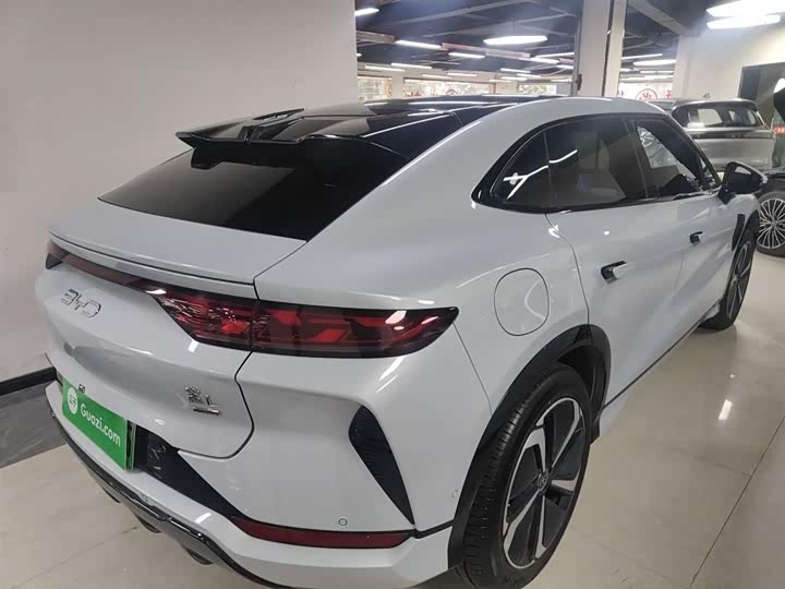 Фото 7 - BYD Song L