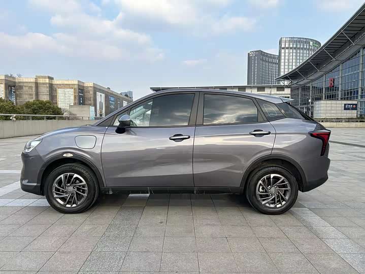 Фото 4 - Hozon V