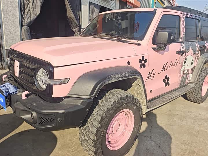 Фото 1 - Tank 300