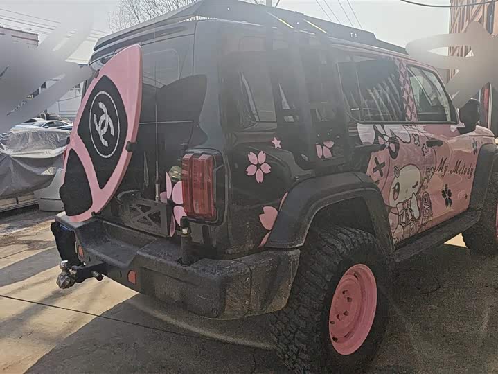 Фото 3 - Tank 300