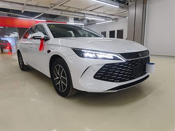 Фото 4 - BYD Qin L