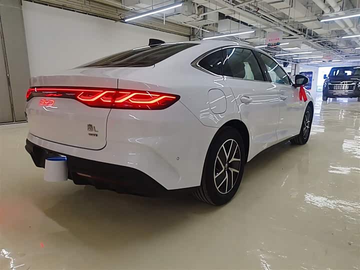 Фото 7 - BYD Qin L