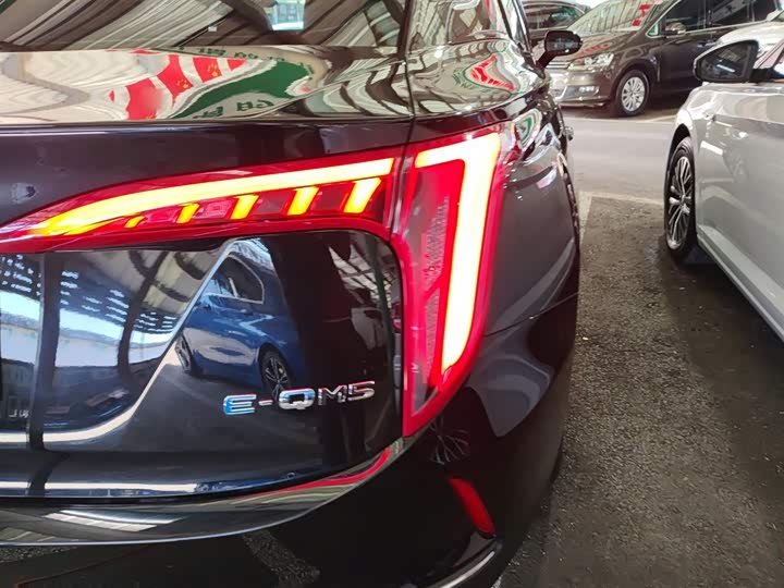 Фото 8 - Hongqi E-QM5