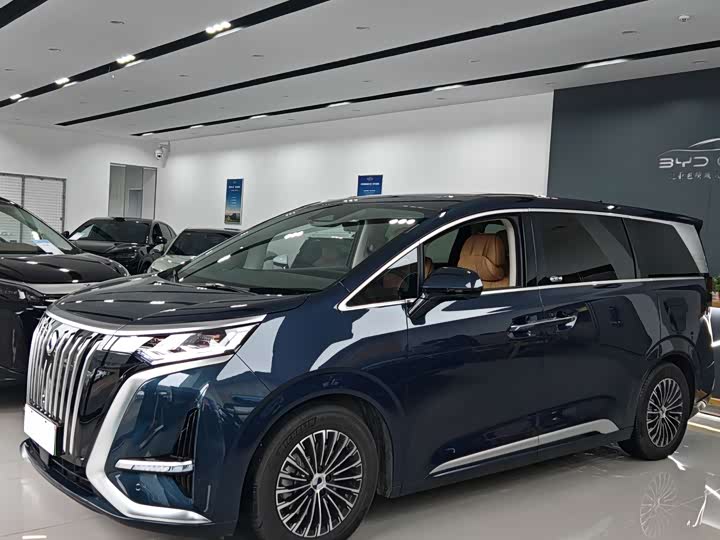 Фото 1 - Denza D9