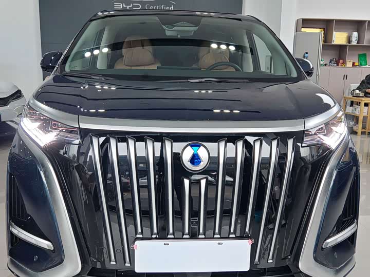 Фото 2 - Denza D9