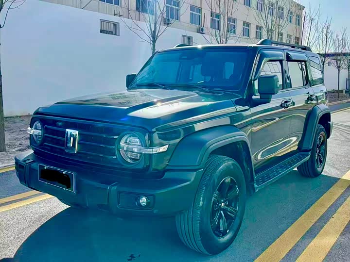 Фото 3 - Tank 300