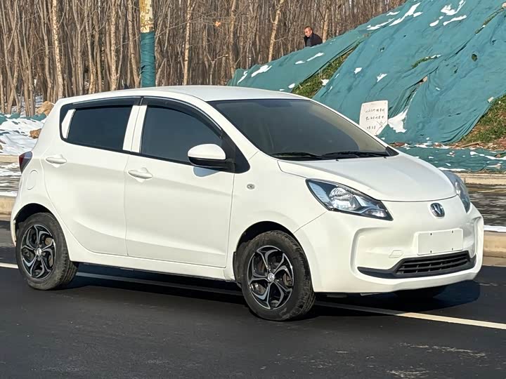 Фото 3 - Changan BenBen E-Star