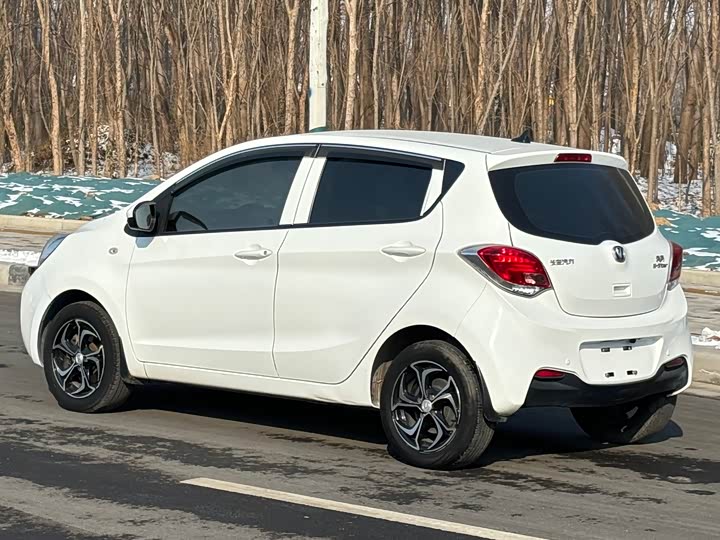 Фото 7 - Changan BenBen E-Star