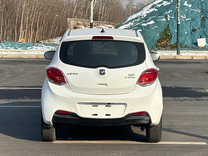 Фото 8 - Changan BenBen E-Star