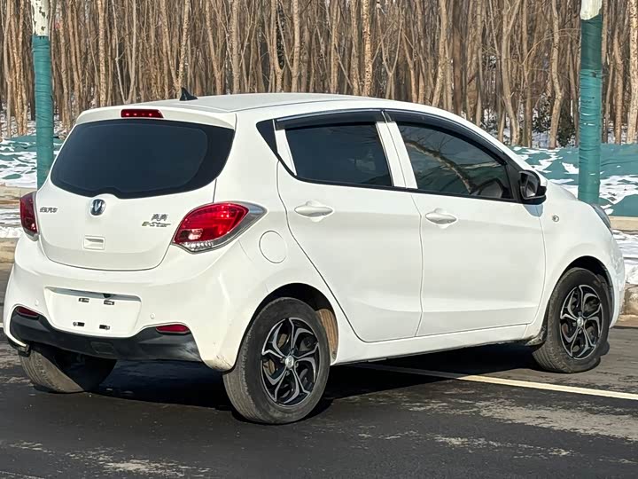 Фото 9 - Changan BenBen E-Star