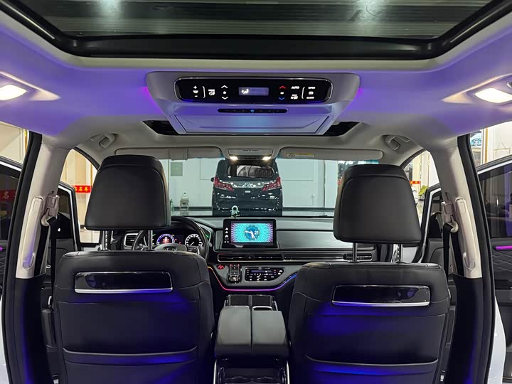 Фото 8 - Honda Elysion