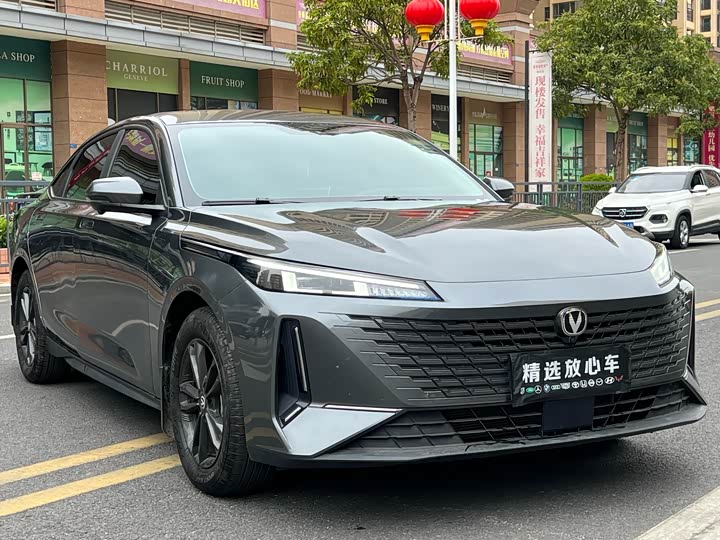 Фото 3 - Changan Yida