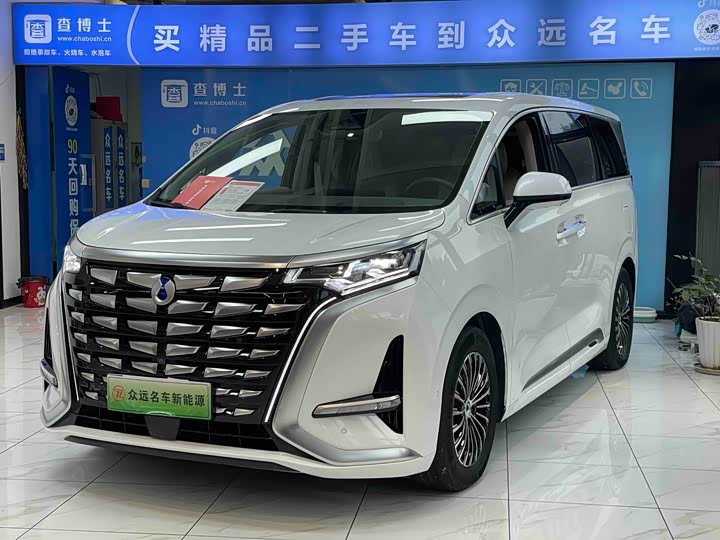 Фото 1 - Denza D9