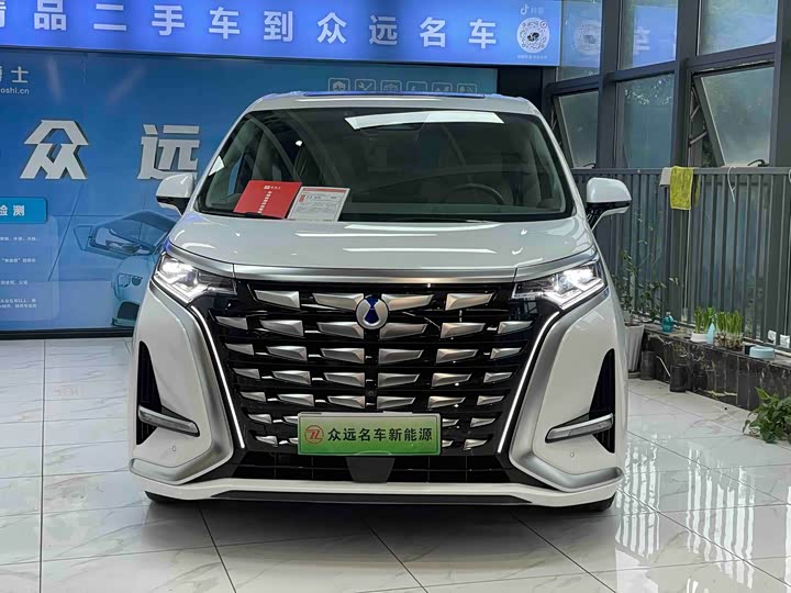 Фото 2 - Denza D9