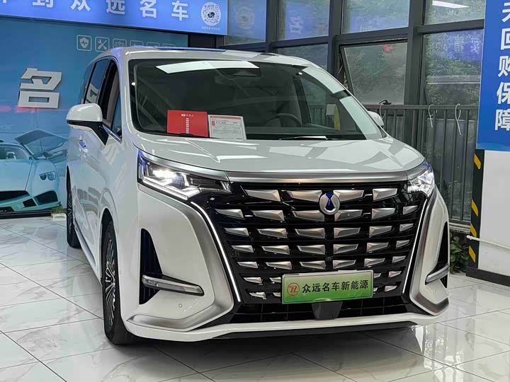 Фото 3 - Denza D9