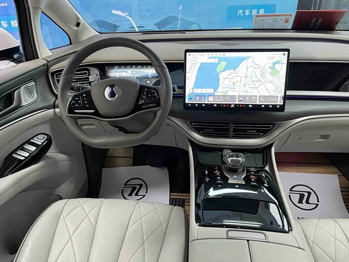 Фото 8 - Denza D9