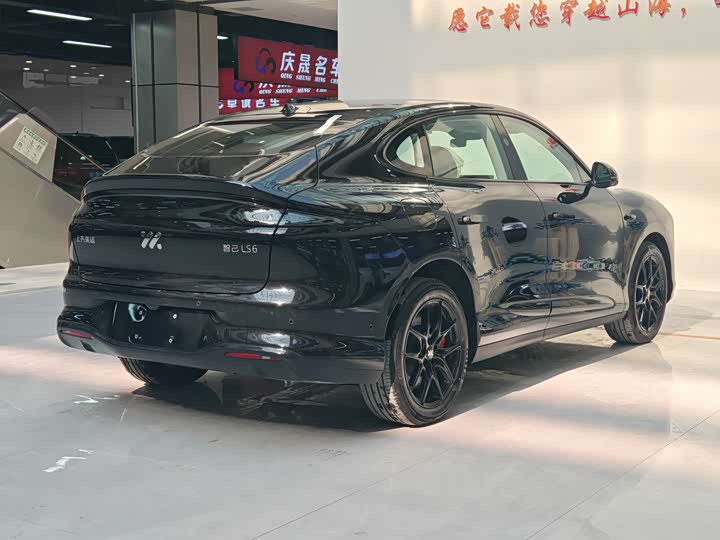 Фото 6 - IM motors LS6