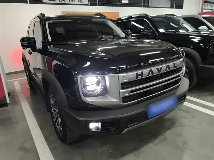Фото 4 - Haval Dargo
