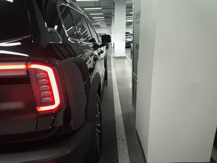 Фото 8 - Haval Dargo