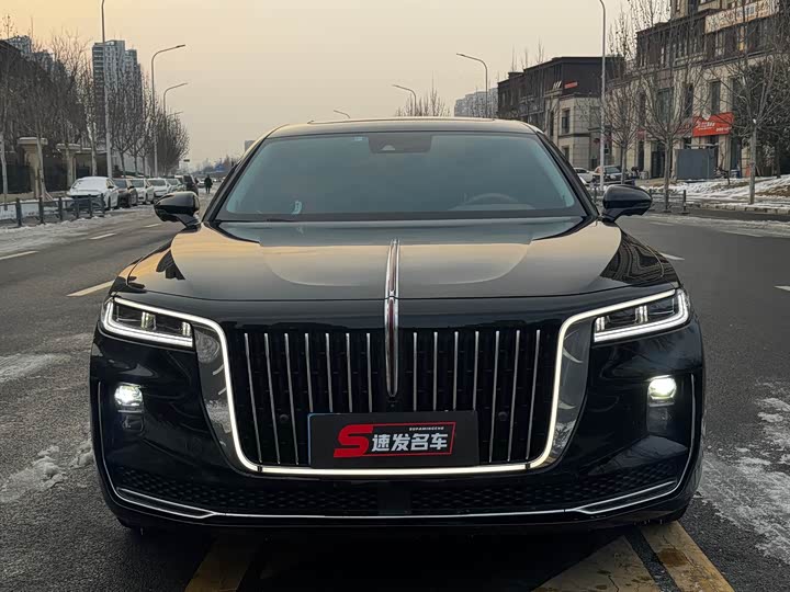 Фото 2 - Hongqi H9