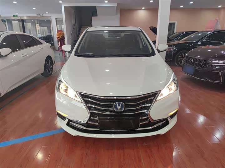 Фото 3 - Changan Eado DT