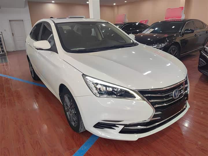 Фото 4 - Changan Eado DT