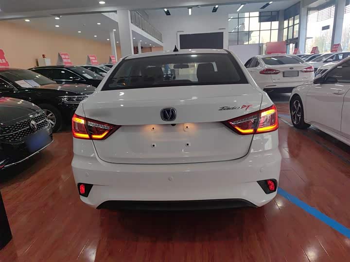 Фото 6 - Changan Eado DT