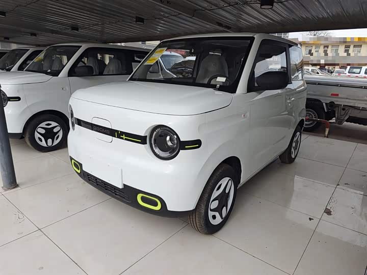 Фото 1 - Geely Galaxy Panda Mini