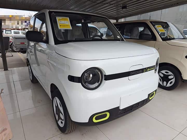 Фото 4 - Geely Galaxy Panda Mini