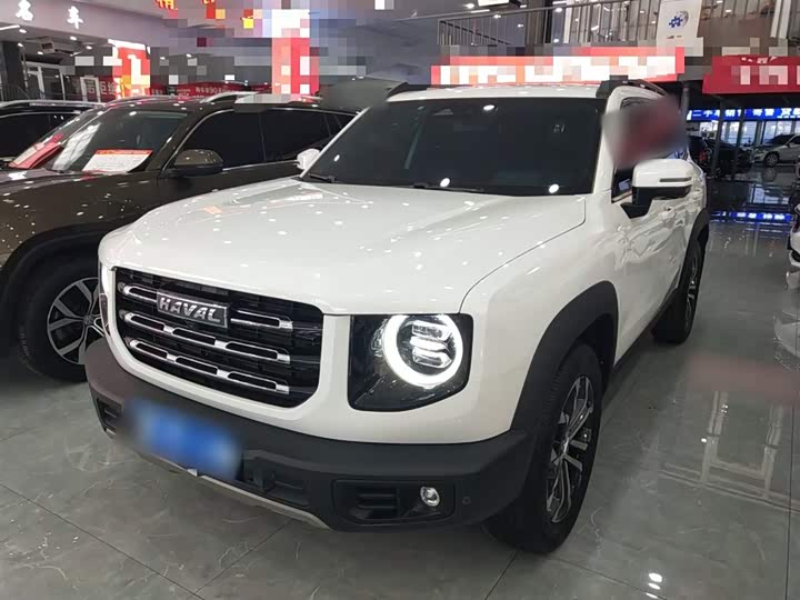 Фото 2 - Haval Dargo