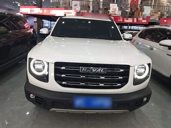 Фото 3 - Haval Dargo