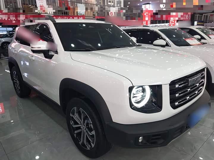 Фото 4 - Haval Dargo