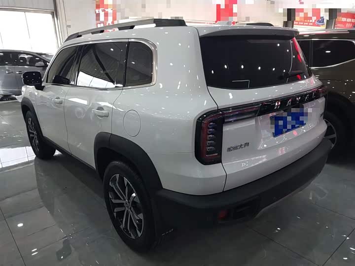Фото 5 - Haval Dargo