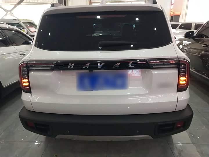 Фото 6 - Haval Dargo