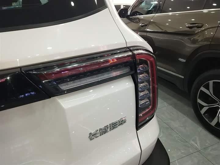 Фото 8 - Haval Dargo