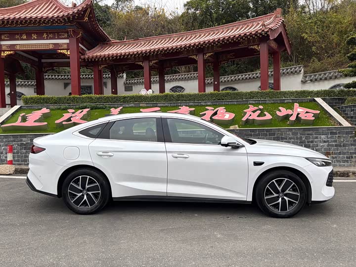 Фото 4 - BYD Qin L